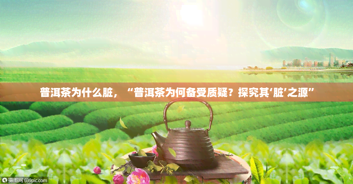 普洱茶为什么脏，“普洱茶为何备受质疑？探究其‘脏’之源”