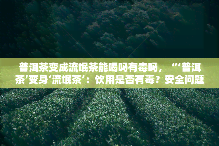 普洱茶变成流氓茶能喝吗有吗，“‘普洱茶’变身‘流氓茶’：饮用是否有？安全问题曝光！”