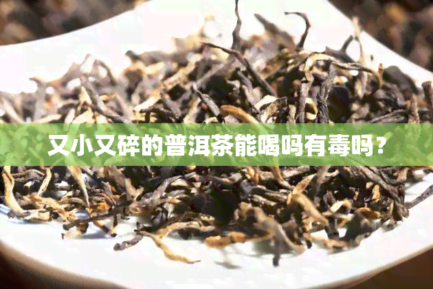 又小又碎的普洱茶能喝吗有吗？