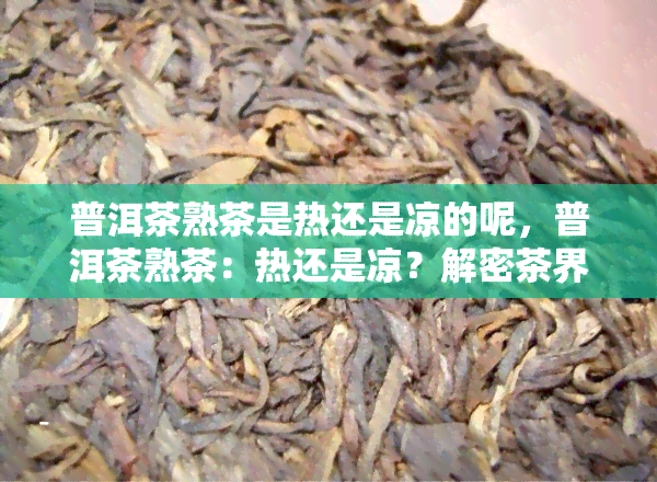 普洱茶熟茶是热还是凉的呢，普洱茶熟茶：热还是凉？解密茶界的疑问