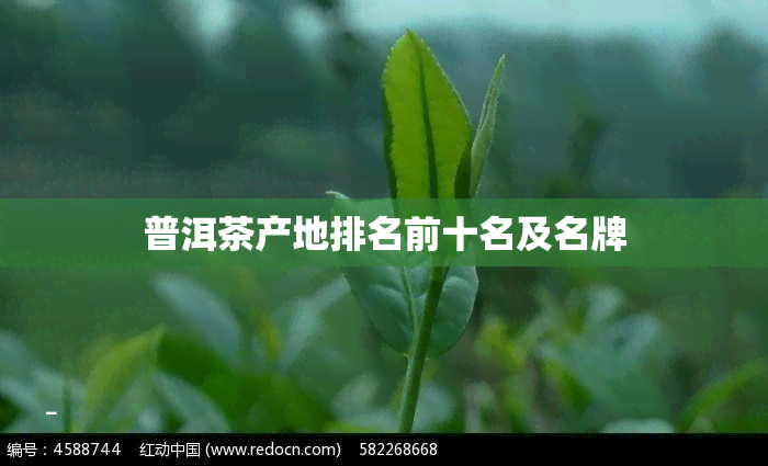 普洱茶产地排名前十名及名牌