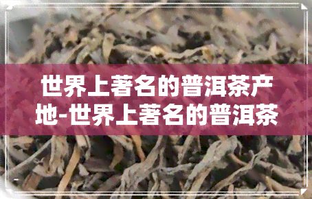 世界上著名的普洱茶产地-世界上著名的普洱茶产地是