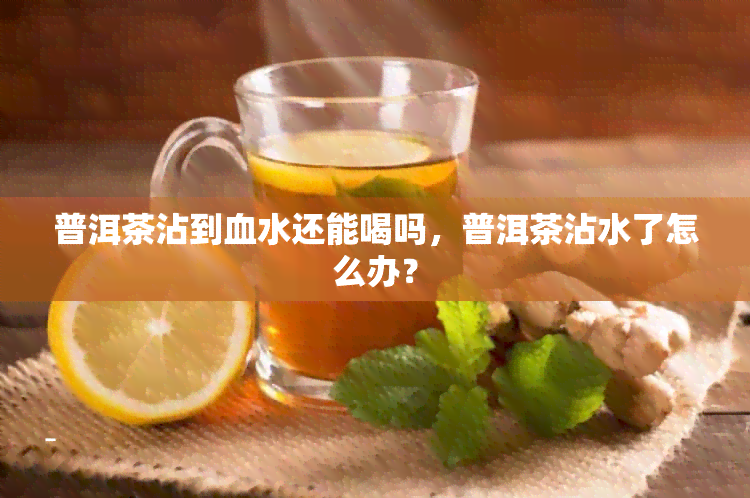 普洱茶沾到血水还能喝吗，普洱茶沾水了怎么办？