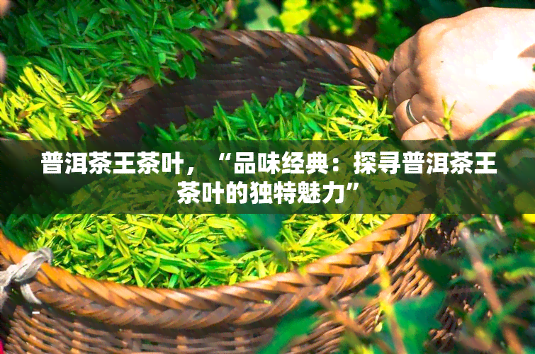 普洱茶王茶叶，“品味经典：探寻普洱茶王茶叶的独特魅力”