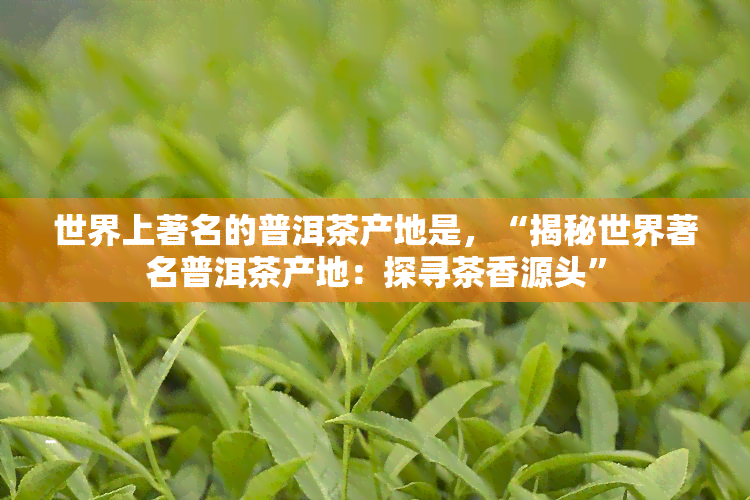 世界上著名的普洱茶产地是，“揭秘世界著名普洱茶产地：探寻茶香源头”