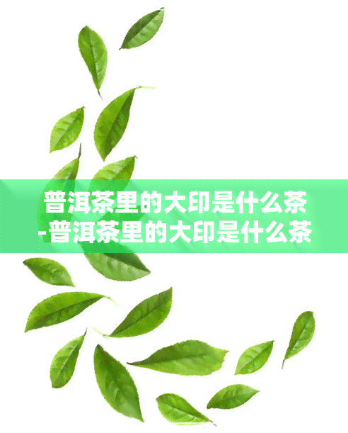 普洱茶里的大印是什么茶-普洱茶里的大印是什么茶叶