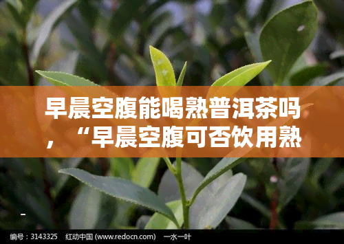 早晨空腹能喝熟普洱茶吗，“早晨空腹可否饮用熟普洱茶？一探茶叶的饮用时机”