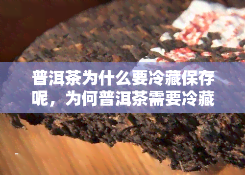 普洱茶为什么要冷藏保存呢，为何普洱茶需要冷藏保存？探究其保存之道