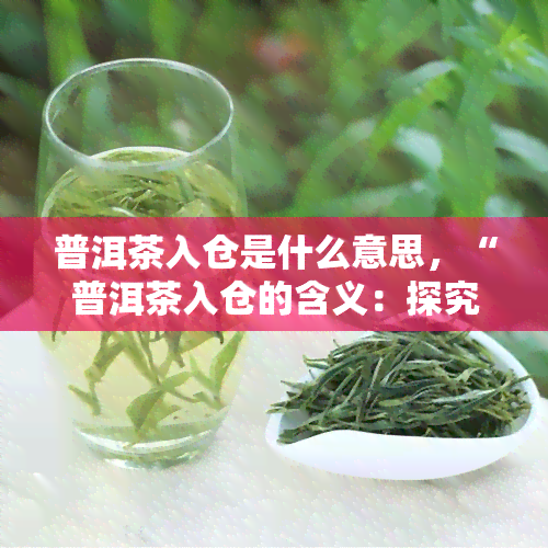 普洱茶入仓是什么意思，“普洱茶入仓的含义：探究这一茶叶行业术语的意义”