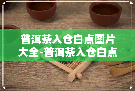 普洱茶入仓白点图片大全-普洱茶入仓白点图片大全大图