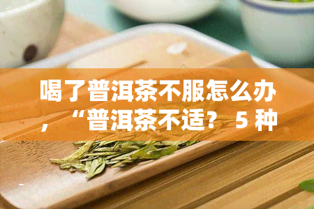 喝了普洱茶不服怎么办，“普洱茶不适？ 5 种解决方案让你重新适起来！”