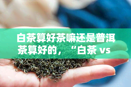 白茶算好茶嘛还是普洱茶算好的，“白茶 vs 普洱茶：哪个才是真正的‘好茶’？”