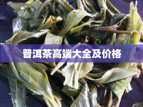 普洱茶高端大全及价格