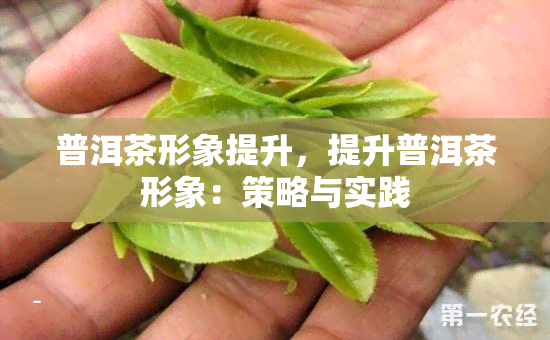 普洱茶形象提升，提升普洱茶形象：策略与实践