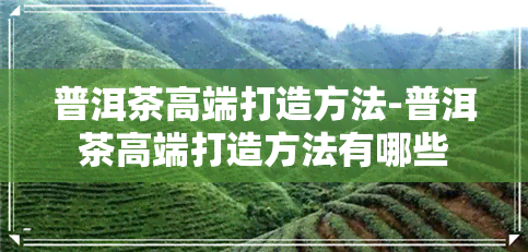 普洱茶高端打造方法-普洱茶高端打造方法有哪些