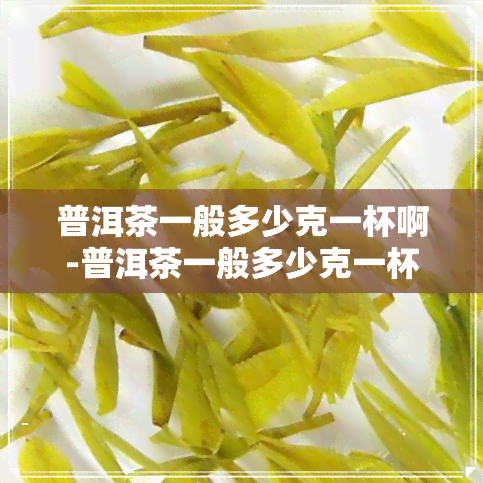 普洱茶一般多少克一杯啊-普洱茶一般多少克一杯啊图片