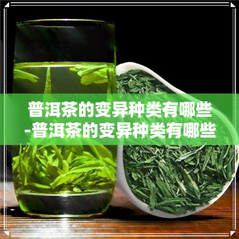 普洱茶的变异种类有哪些-普洱茶的变异种类有哪些图片