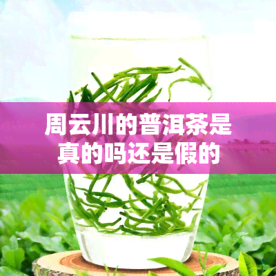 周云川的普洱茶是真的吗还是假的