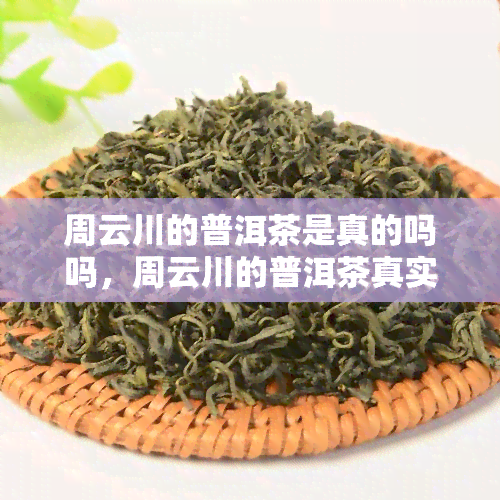 周云川的普洱茶是真的吗吗，周云川的普洱茶真实性曝光：真假难辨？