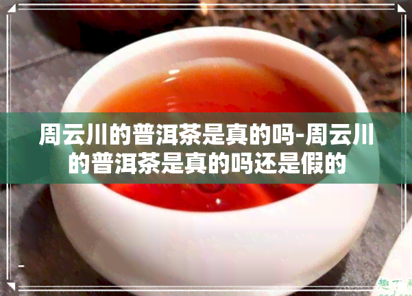 周云川的普洱茶是真的吗-周云川的普洱茶是真的吗还是假的