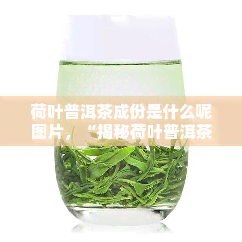 荷叶普洱茶成份是什么呢图片，“揭秘荷叶普洱茶的成分：一探究竟（附图片）”