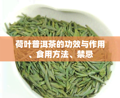 荷叶普洱茶的功效与作用、食用方法、禁忌