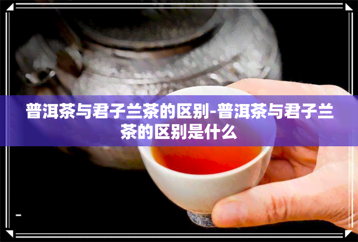 普洱茶与君子兰茶的区别-普洱茶与君子兰茶的区别是什么