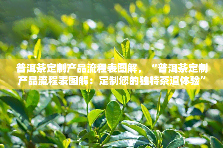 普洱茶定制产品流程表图解，“普洱茶定制产品流程表图解：定制您的独特茶道体验”