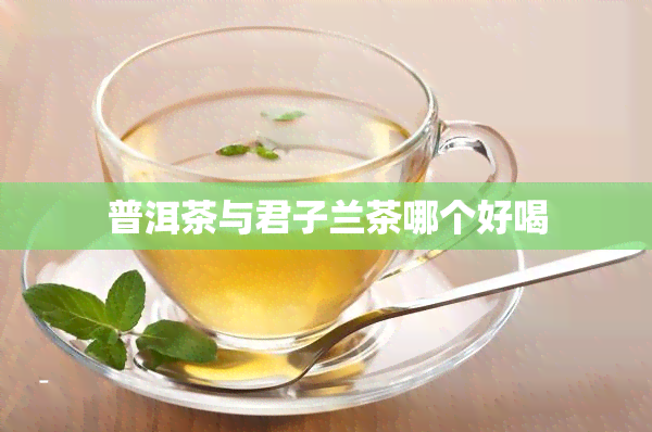 普洱茶与君子兰茶哪个好喝