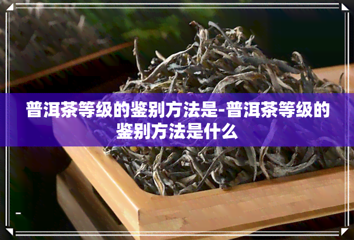 普洱茶等级的鉴别方法是-普洱茶等级的鉴别方法是什么