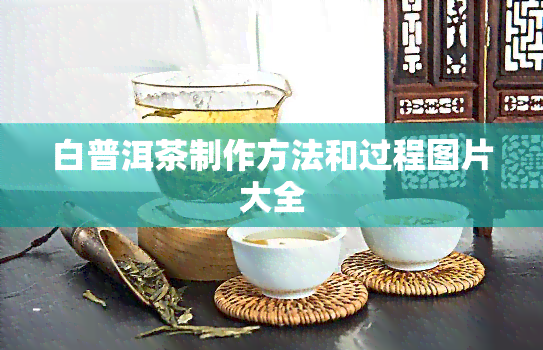 白普洱茶制作方法和过程图片大全