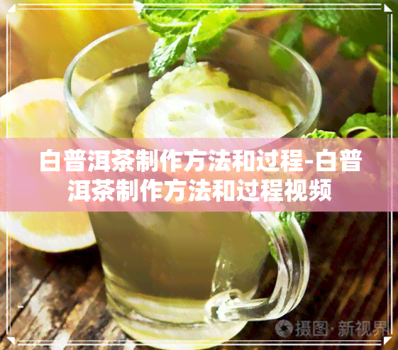 白普洱茶制作方法和过程-白普洱茶制作方法和过程视频