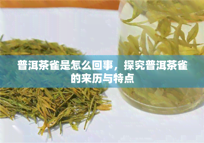 普洱茶雀是怎么回事，探究普洱茶雀的来历与特点