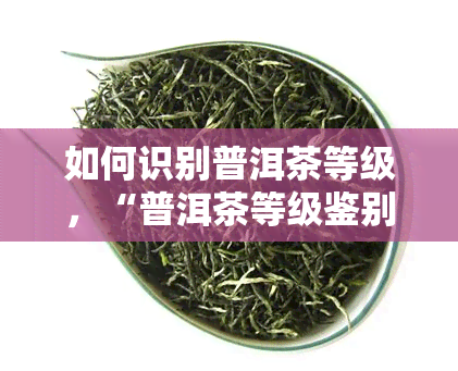 如何识别普洱茶等级，“普洱茶等级鉴别指南：如何准确辨别茶叶品质？”