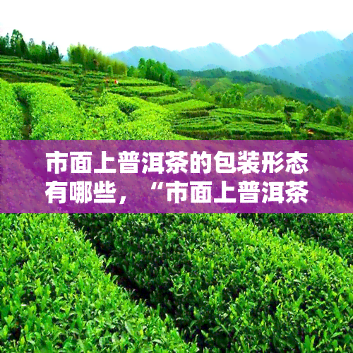 市面上普洱茶的包装形态有哪些，“市面上普洱茶的包装形态：一揽众多的包装风貌”