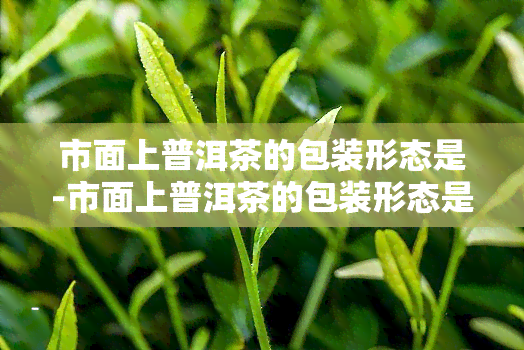 市面上普洱茶的包装形态是-市面上普洱茶的包装形态是什么