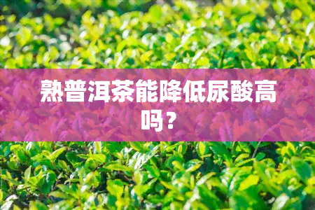 熟普洱茶能降低尿酸高吗？