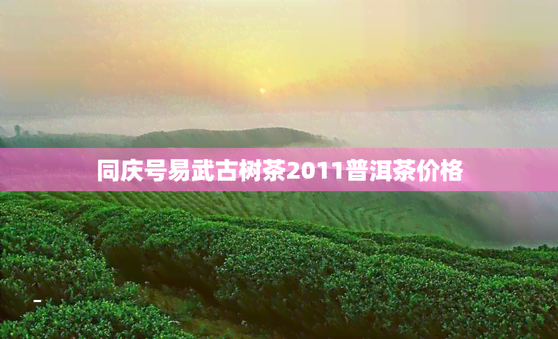 同庆号易武古树茶2011普洱茶价格