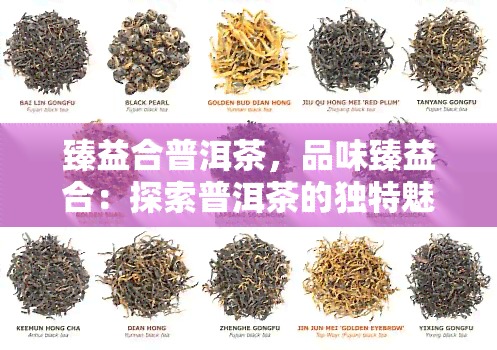 臻益合普洱茶，品味臻益合：探索普洱茶的独特魅力