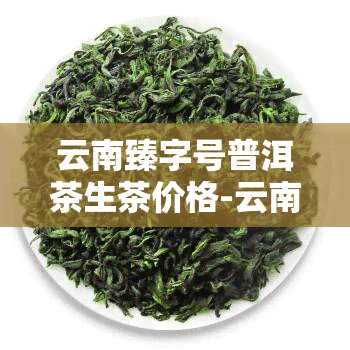 云南臻字号普洱茶生茶价格-云南臻字号茶叶