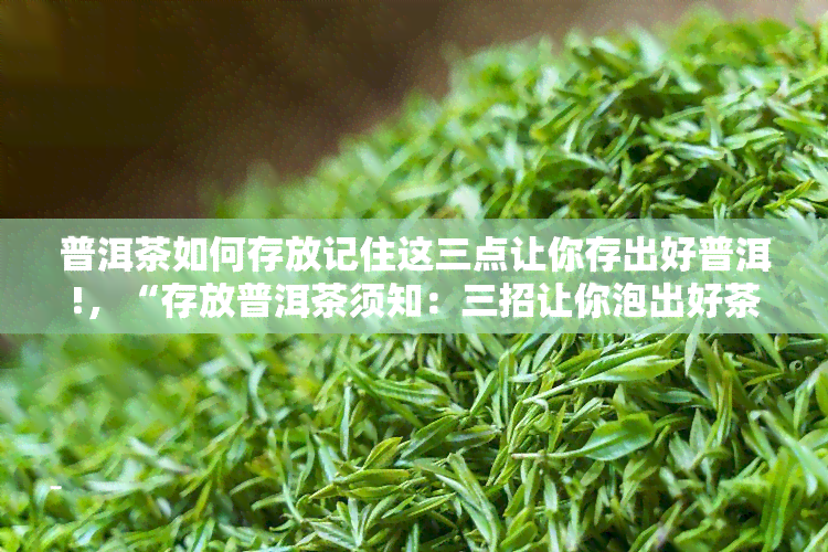 普洱茶如何存放记住这三点让你存出好普洱!，“存放普洱茶须知：三招让你泡出好茶！”