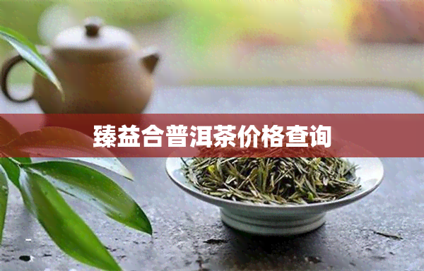 臻益合普洱茶价格查询