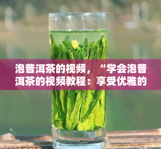 泡普洱茶的视频，“学会泡普洱茶的视频教程：享受优雅的茶道体验”