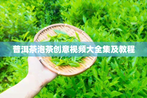 普洱茶泡茶创意视频大全集及教程