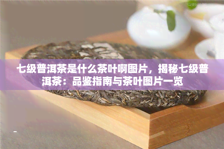 七级普洱茶是什么茶叶啊图片，揭秘七级普洱茶：品鉴指南与茶叶图片一览