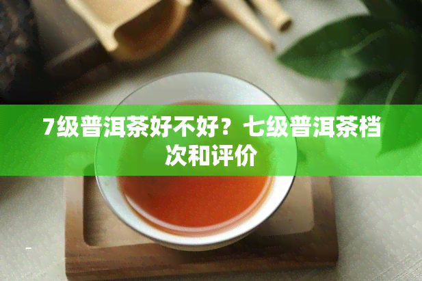 7级普洱茶好不好？七级普洱茶档次和评价