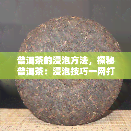 普洱茶的浸泡方法，探秘普洱茶：浸泡技巧一网打尽