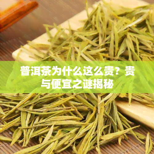 普洱茶为什么这么贵？贵与便宜之谜揭秘