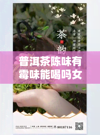 普洱茶陈味有霉味能喝吗女性喝多少