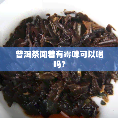 普洱茶闻着有霉味可以喝吗？